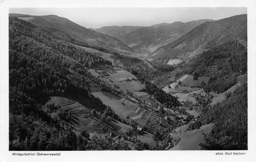 Obersimonswald Blick ins Wildgutachtal ngl 197.174