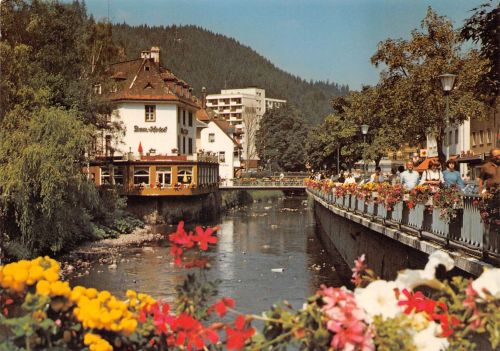 St. Blasien Partie an der Alb ngl 197.180