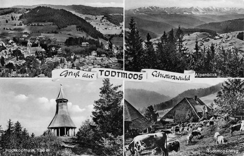 Todtmoos Mehrbildkarte gl1967 197.191