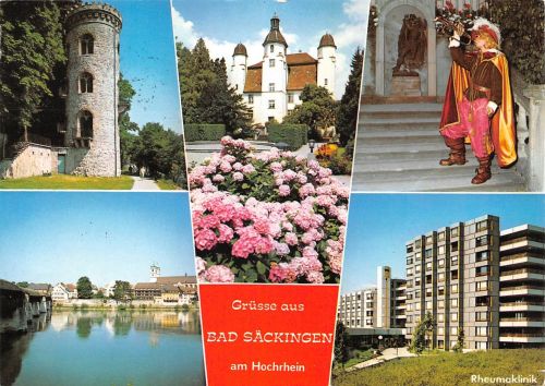 Bad Säckingen Mehrbildkarte gl1981 197.196