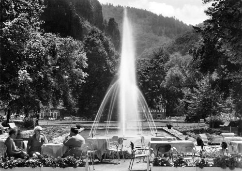 Bad Münster a. Stein Kurgartenpartie gl1963 197.297