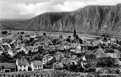 Ebernburg b.Bad Münster am Stein Panorama ngl 197.347