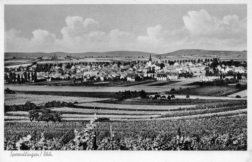 Sprendlingen (Rheinhessen) Panorama gl1962 197.357