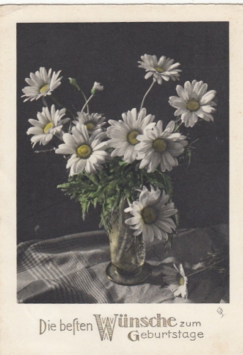 Geburtstag-Wünsche mit Margeriten gl1935 E7427