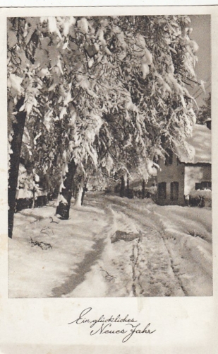 Neujahr-Grüße mit Winterwald gl1953 E7439