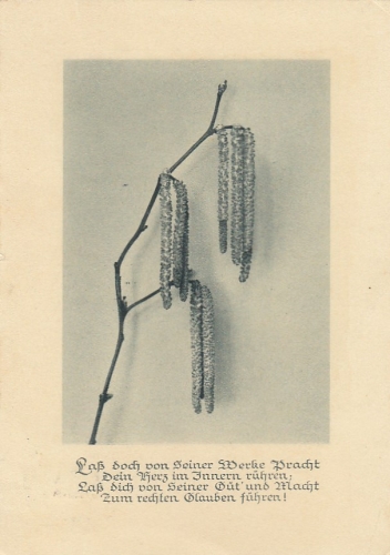 Religion: Laß doch on Seiner Werke Pracht ... gl1931 E8158