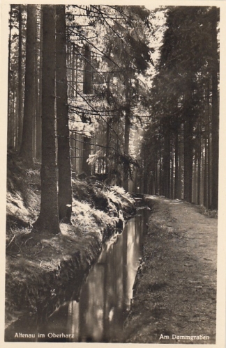 Altenau Oberharz , am Dammgraben ngl E8515