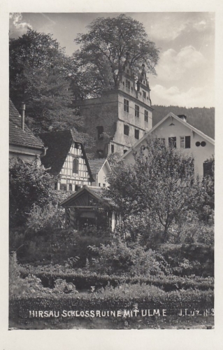 Kloster Hirsau, Schwarzwald, Schlossruine mit Ulme ngl E9305