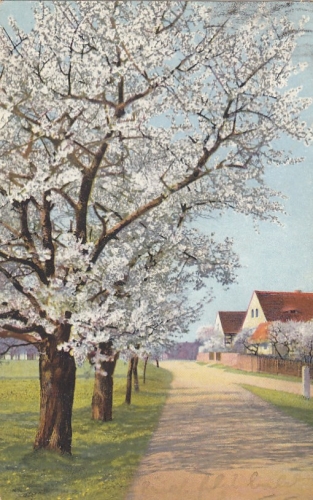 Der nächste Frühling kommt bestimmt! gl1926 E9579