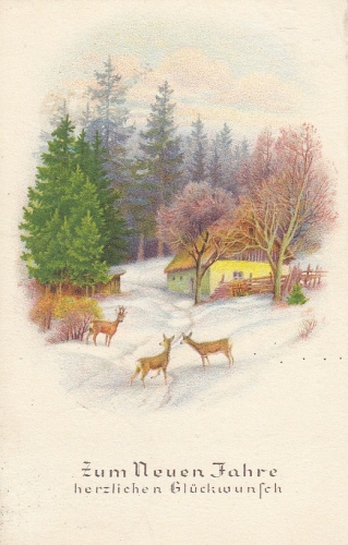 Neujahr-Wünsche vom Forsthaus gl1950 F0319