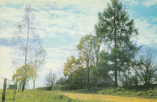 LV Caurumkrogs ("Saulites") ngl F0540