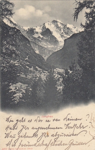 Blick auf die Jungfrau ngl F2675