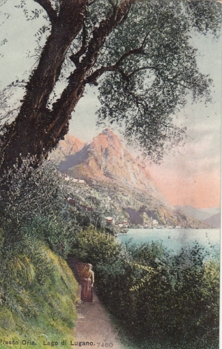 Presso Oria am Lago di Lugano ngl F2773