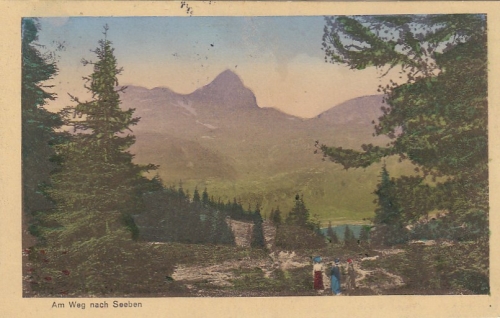 Am Weg nach Seeben ngl F2776