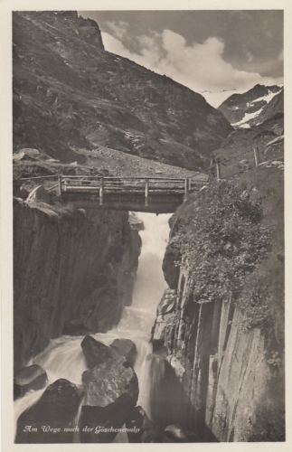 Am Wege nach der Göschenenalp ngl F2796