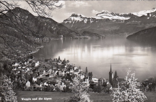 Weggis und die Alpen ngl F2811