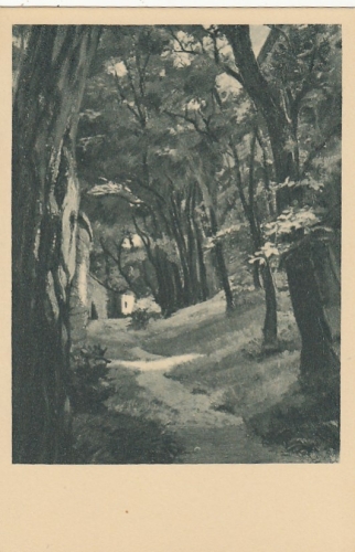 H.BICKEL Aus Rosmaries Heimat, Das versteckte Schweigen Nr.13 ngl F3578