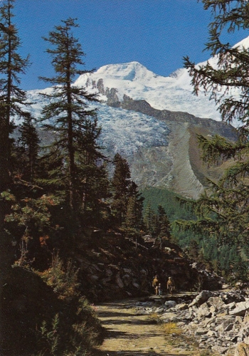 Bei Saas-Fee, Wallis, Weg nach Saas-Almagell gl1985 F4348