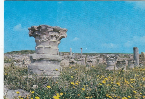 Tunesien, Carthage, Ruines Romaines ngl F4489