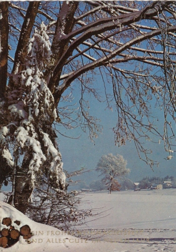Weihnachts-Neujahr-Wünsche vom Waldesrand gl1973 F4505