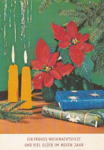 Weihnachts-Neujahr-Wünsche mit Weihnachtsstern gl1976 F4508