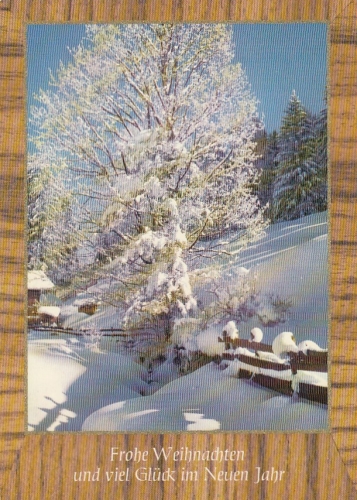 Weihnachts-Neujahr-Wünsche mit viel Rauhreif gl1977 F4515