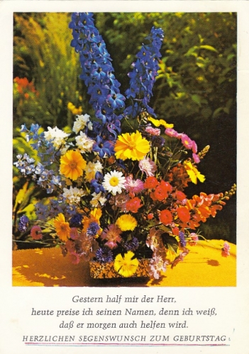 Geburtstag-Wünsche mit Blumenstück gl1976 F4522