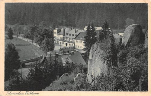 Erlabrunn (Erzgeb.) Täumerhaus gl1931 197.873