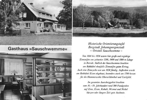 Johanngeorgenstadt (Erzgebirge) Gasthaus SauschwemmeMehrbildkarte ngl 197.889