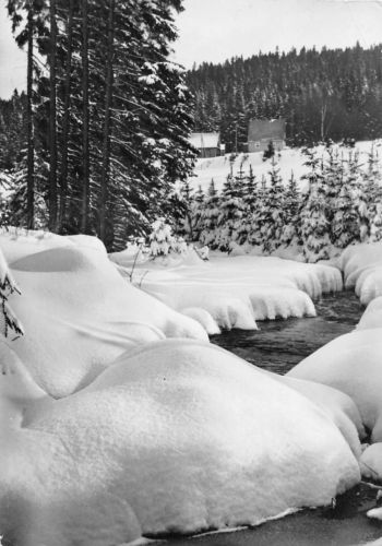 Johanngeorgenstadt (Erzgebirge) Steinbachtal feldpgl1961 197.893