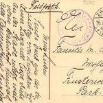 Zwickau i. Sa. Bahnhofstraße, mit Militär-Briefstempel feldpgl1915 198.043