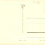 Zwickau i. Sa. Äußere Plauensche Strasse ngl 198.050