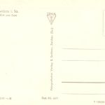 Zwickau i. Sa. Blick zum Dom St. Marien ngl 198.064