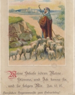 Religion: Meine Schafe hören Meine Stimme ... gl1916 F9078