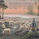Religion: Meine Schafe hören Meine Stimme ... glum 1910? F9080