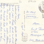 Tunesien, neugierige Kamele gl1968 F9263
