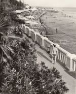 Am Strand von Sotschi ngl F9387