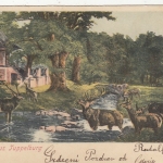Gruss aus Tuppelburg, Litho glum 1900? F9548