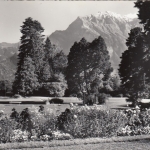 Bad Ragaz, Kurpark mit Falknis ngl G0167