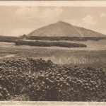 Riesengebirge, die Schneekoppe über das Knieholz gesehen ngl G0332
