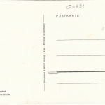 Dahlien-Gesteck ngl G0691
