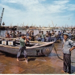 Matosinhos, Descarregando peixe ngl G0860