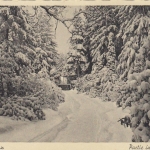 PL Bad Salzbrunn, Partie im Schaffertal ngl G1077