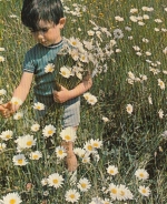 Gruss mit Bub und Margeriten glum 1960? G1463