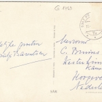 Gruss mit Bub und Margeriten glum 1960? G1463