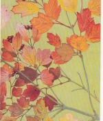 PHILIPPE ROBERT, Leaves - Feuilage glum 1980? G1473
