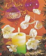 Prettige Kerstdagen en Gelukkig Nieuwjaar gl1978 G1486