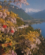 Château de Chillon et Dents du Midi ngl1908 G1521