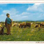 Portugal, Pastor e seu rebanto gl1991 G1656