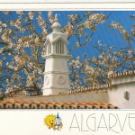 Algarve, Schornstein im Blütenmeer ngl G1665